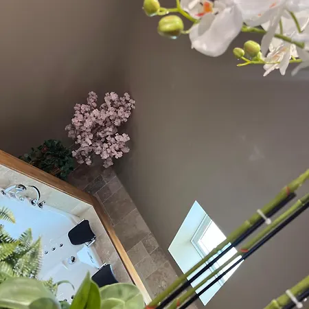 La 104 Zen Romantique Dans Maison Reservee Aux Hotes Romantiskt hotell *